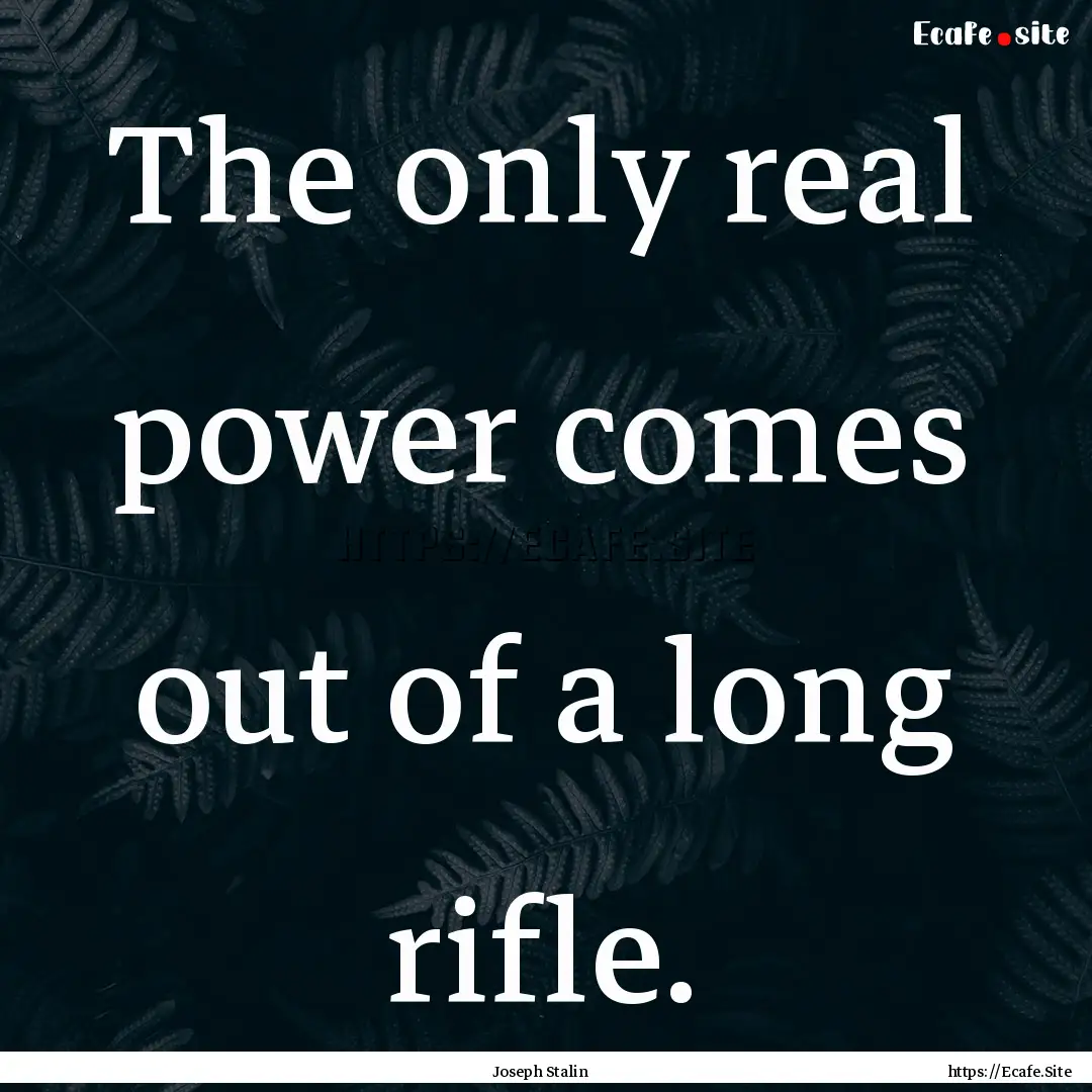 The only real power comes out of a long rifle..... : Quote by Joseph Stalin