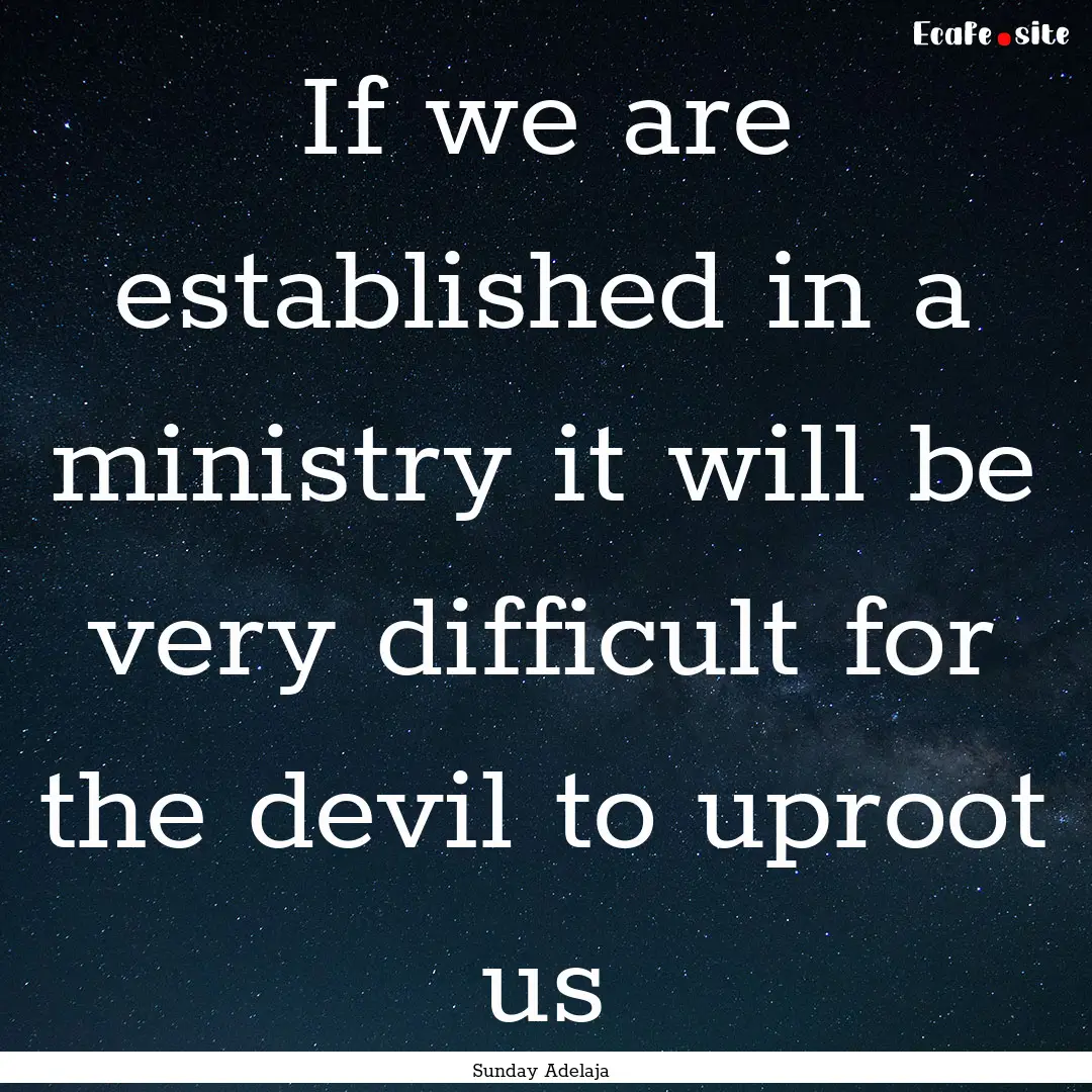 If we are established in a ministry it will.... : Quote by Sunday Adelaja