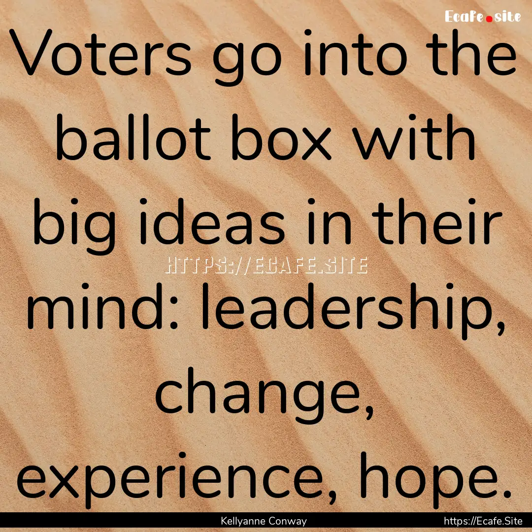 Voters go into the ballot box with big ideas.... : Quote by Kellyanne Conway