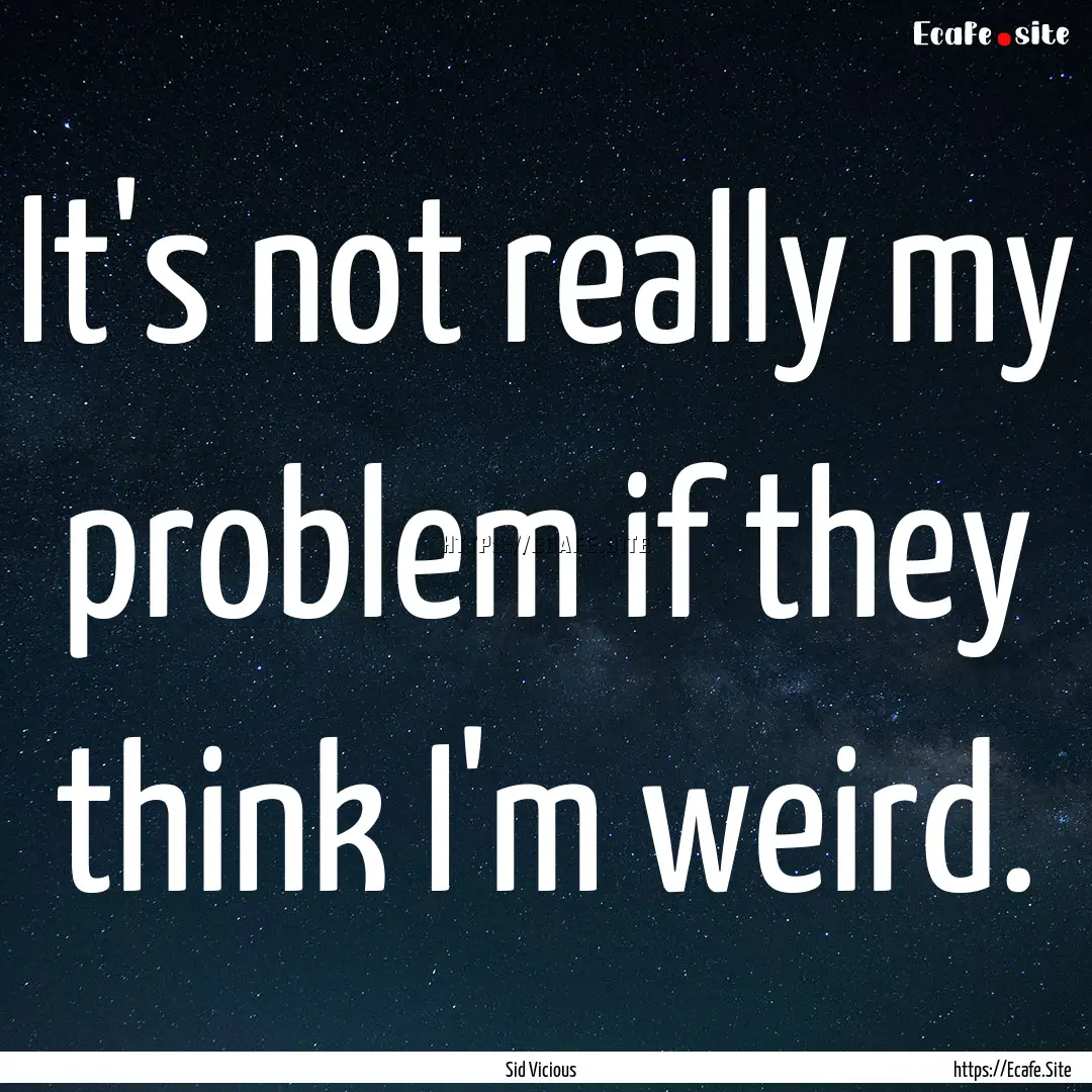 It's not really my problem if they think.... : Quote by Sid Vicious