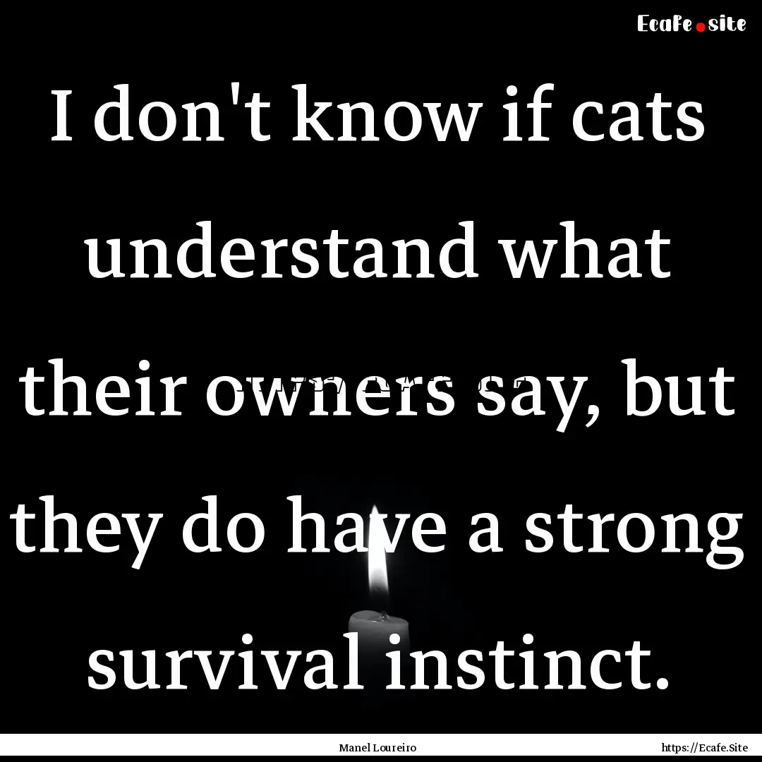 I don't know if cats understand what their.... : Quote by Manel Loureiro