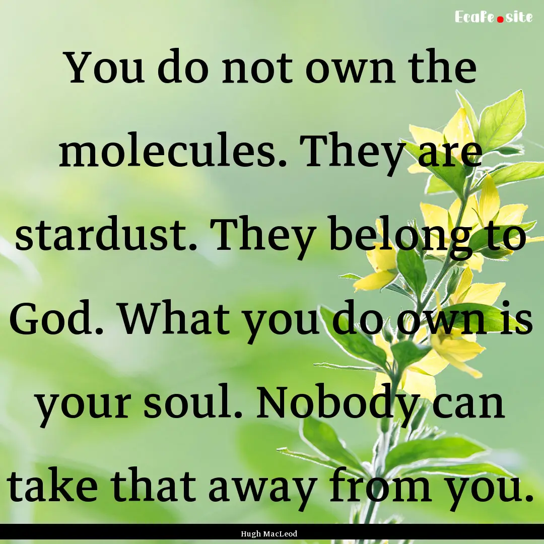 You do not own the molecules. They are stardust..... : Quote by Hugh MacLeod