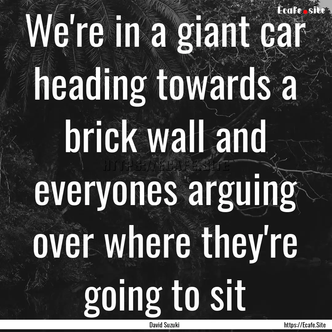 We're in a giant car heading towards a brick.... : Quote by David Suzuki