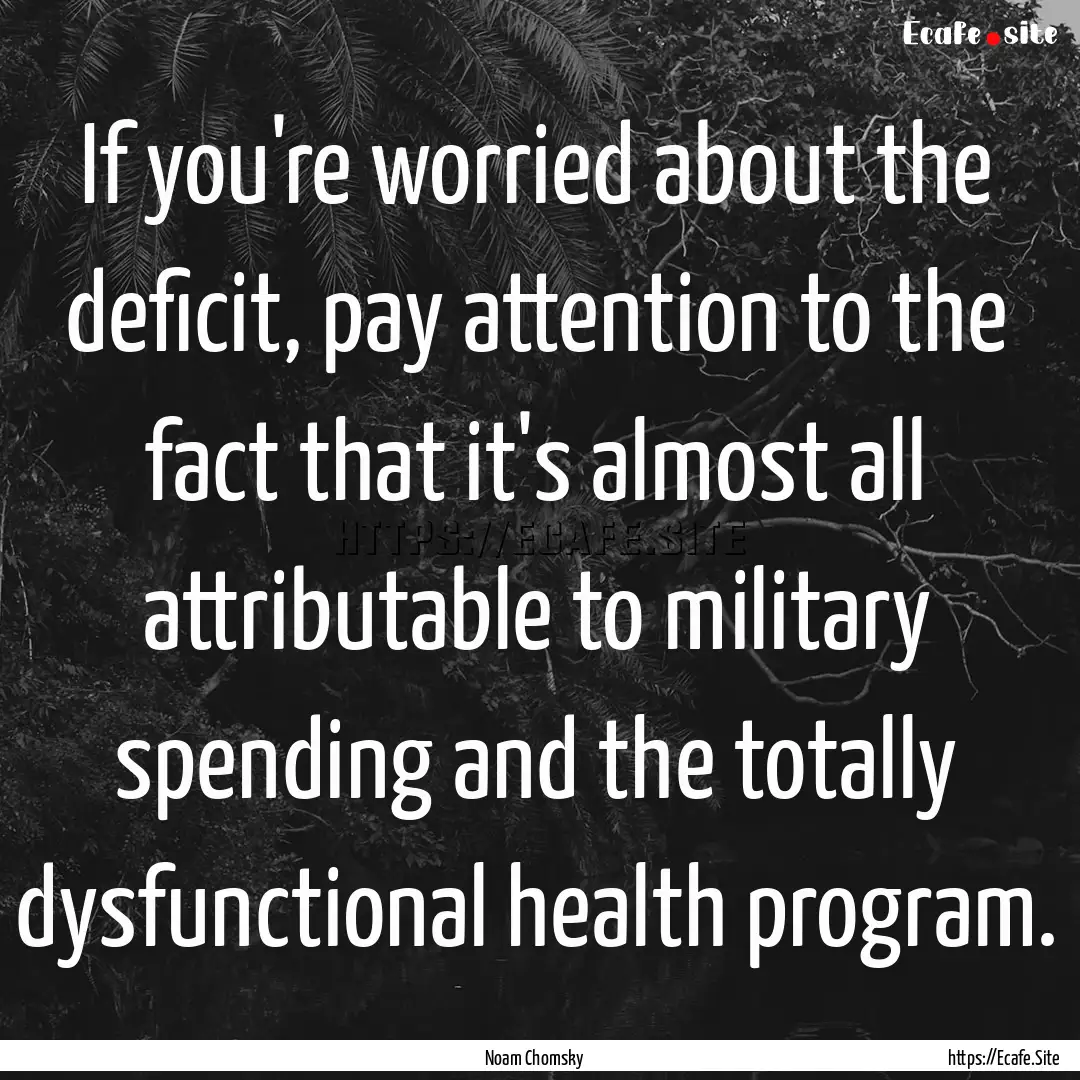 If you're worried about the deficit, pay.... : Quote by Noam Chomsky