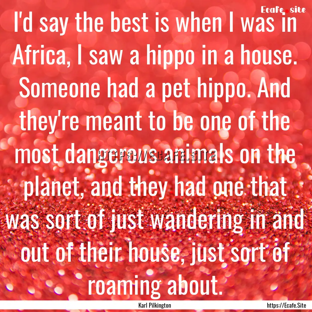 I'd say the best is when I was in Africa,.... : Quote by Karl Pilkington