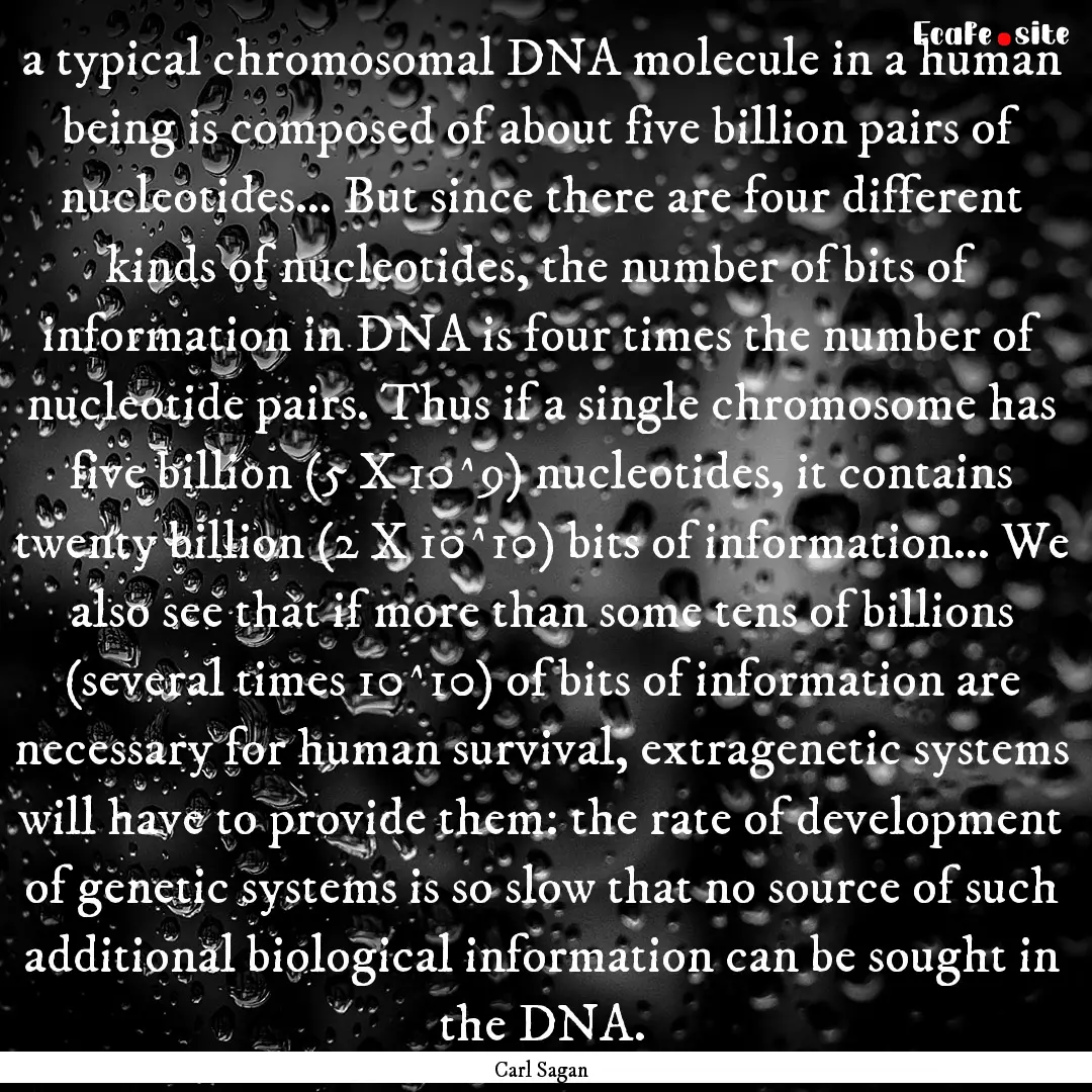 a typical chromosomal DNA molecule in a human.... : Quote by Carl Sagan