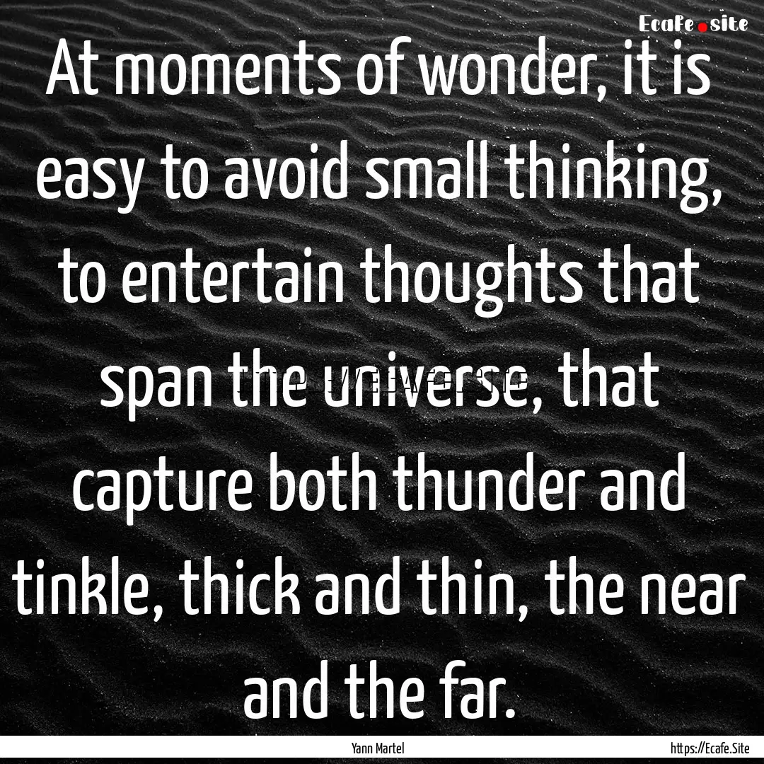 At moments of wonder, it is easy to avoid.... : Quote by Yann Martel