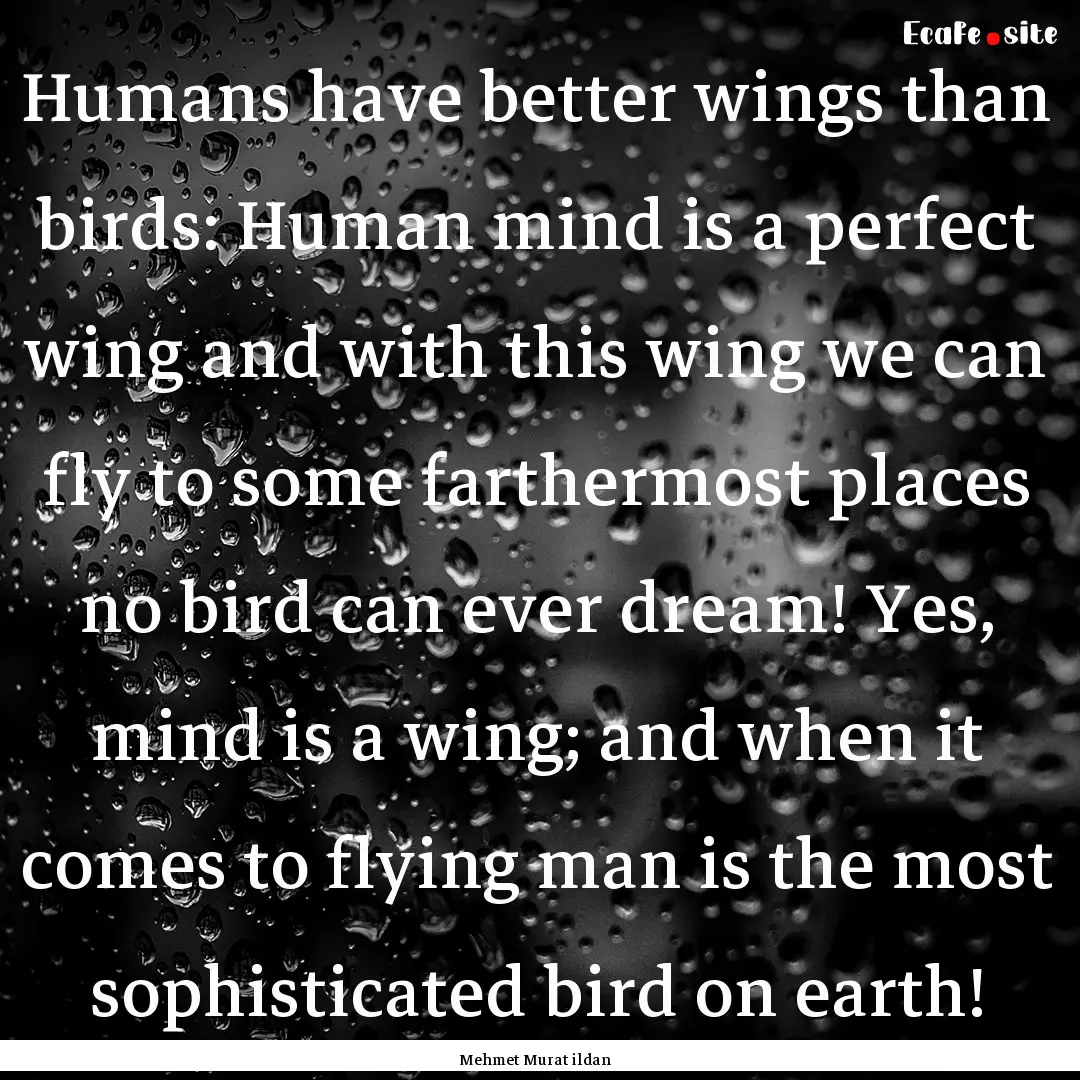 Humans have better wings than birds: Human.... : Quote by Mehmet Murat ildan