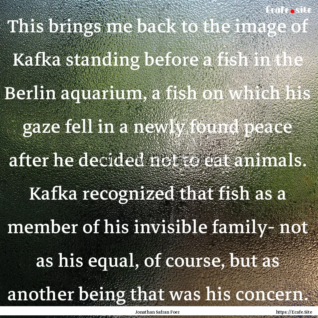 This brings me back to the image of Kafka.... : Quote by Jonathan Safran Foer