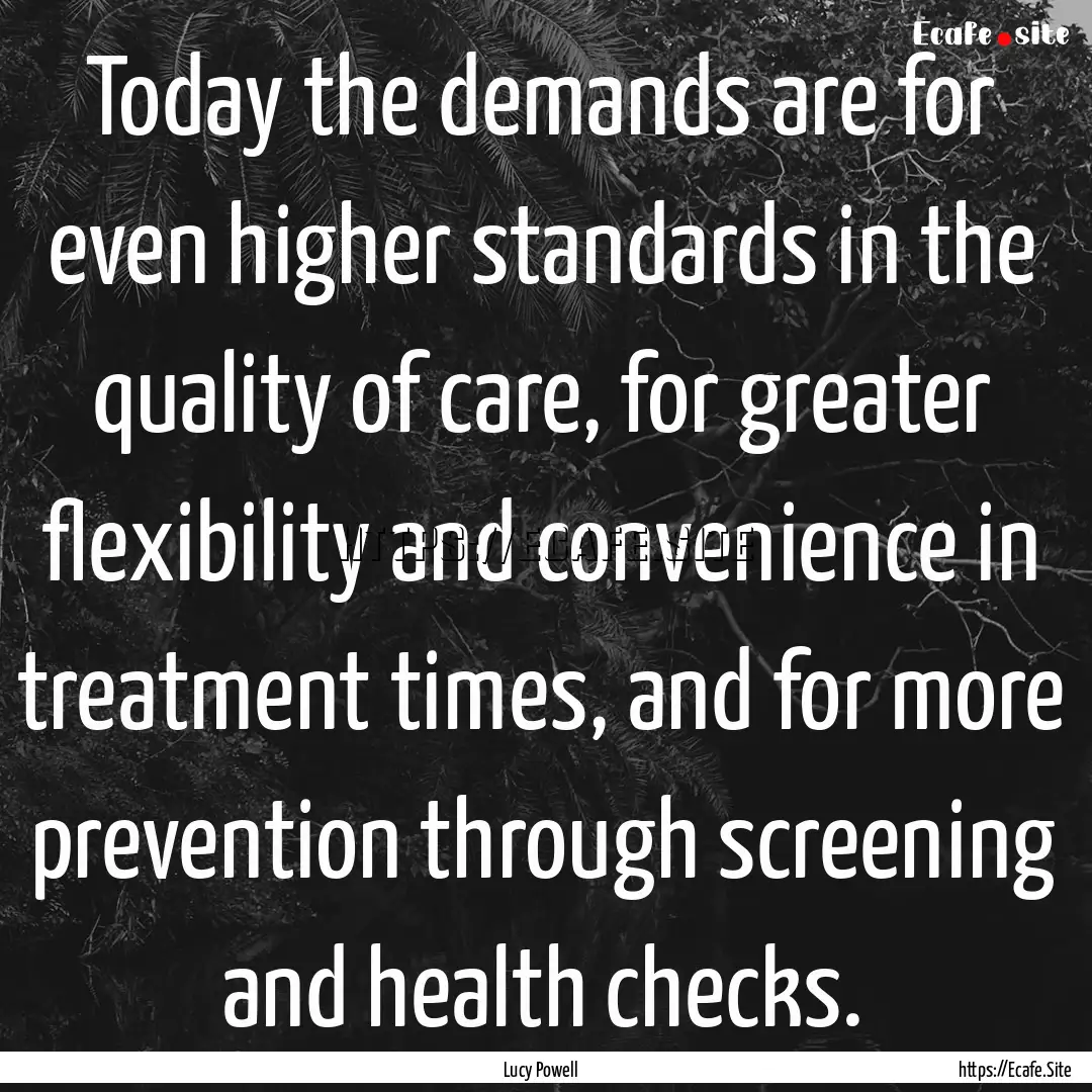 Today the demands are for even higher standards.... : Quote by Lucy Powell