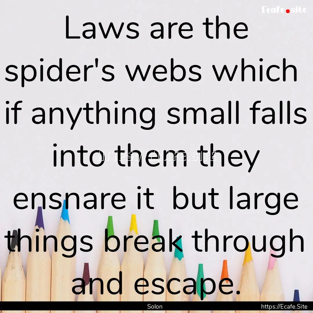 Laws are the spider's webs which if anything.... : Quote by Solon