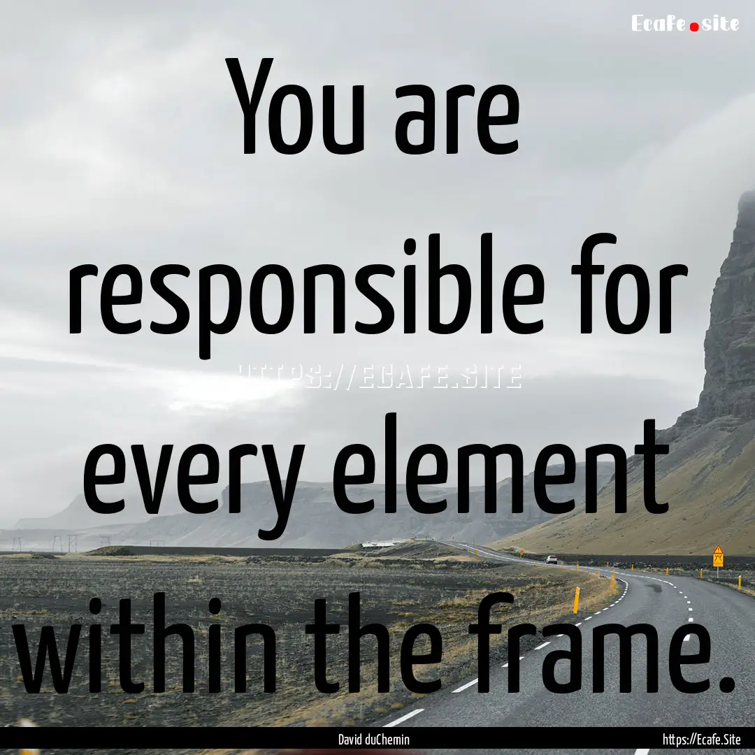 You are responsible for every element within.... : Quote by David duChemin