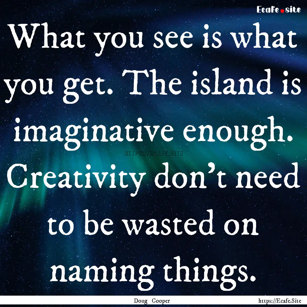 What you see is what you get. The island.... : Quote by Doug Cooper