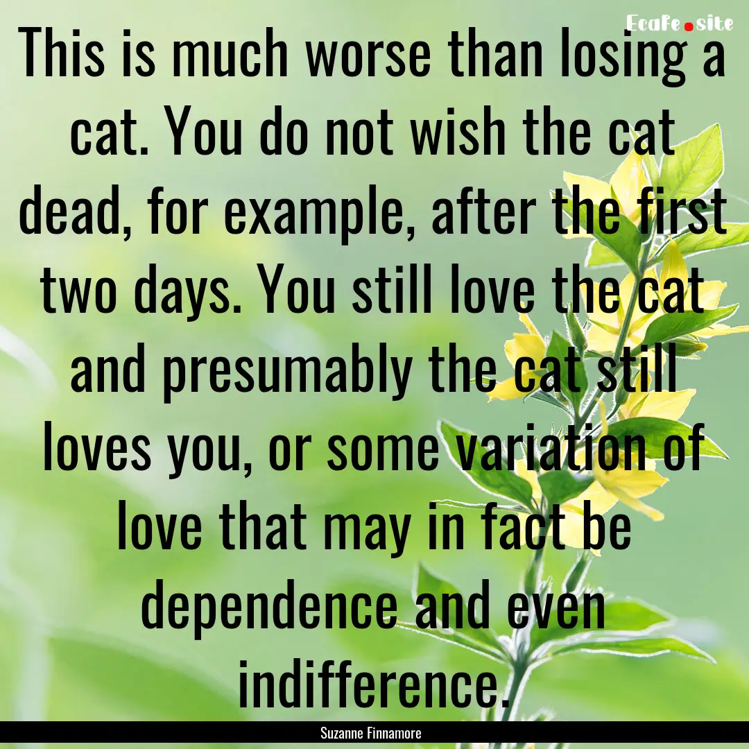 This is much worse than losing a cat. You.... : Quote by Suzanne Finnamore