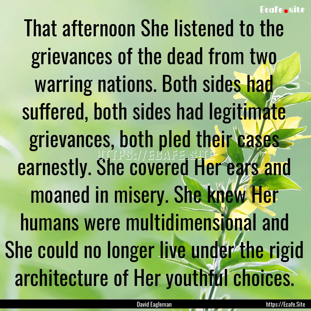 That afternoon She listened to the grievances.... : Quote by David Eagleman