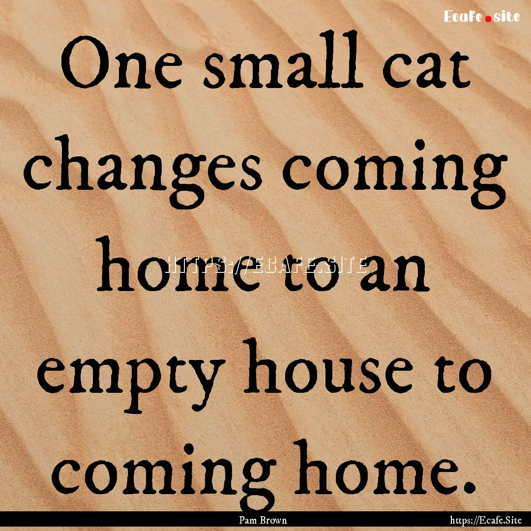 One small cat changes coming home to an empty.... : Quote by Pam Brown