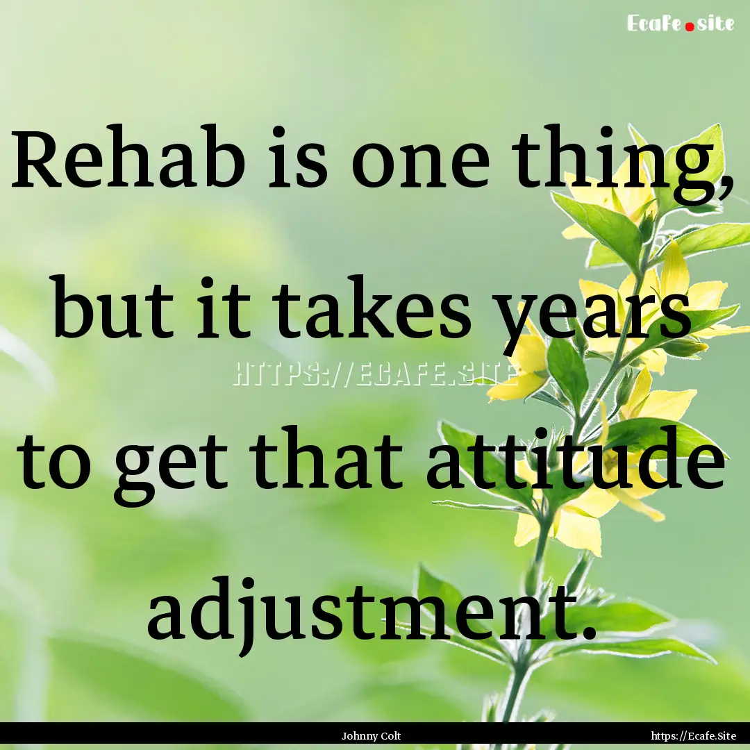 Rehab is one thing, but it takes years to.... : Quote by Johnny Colt