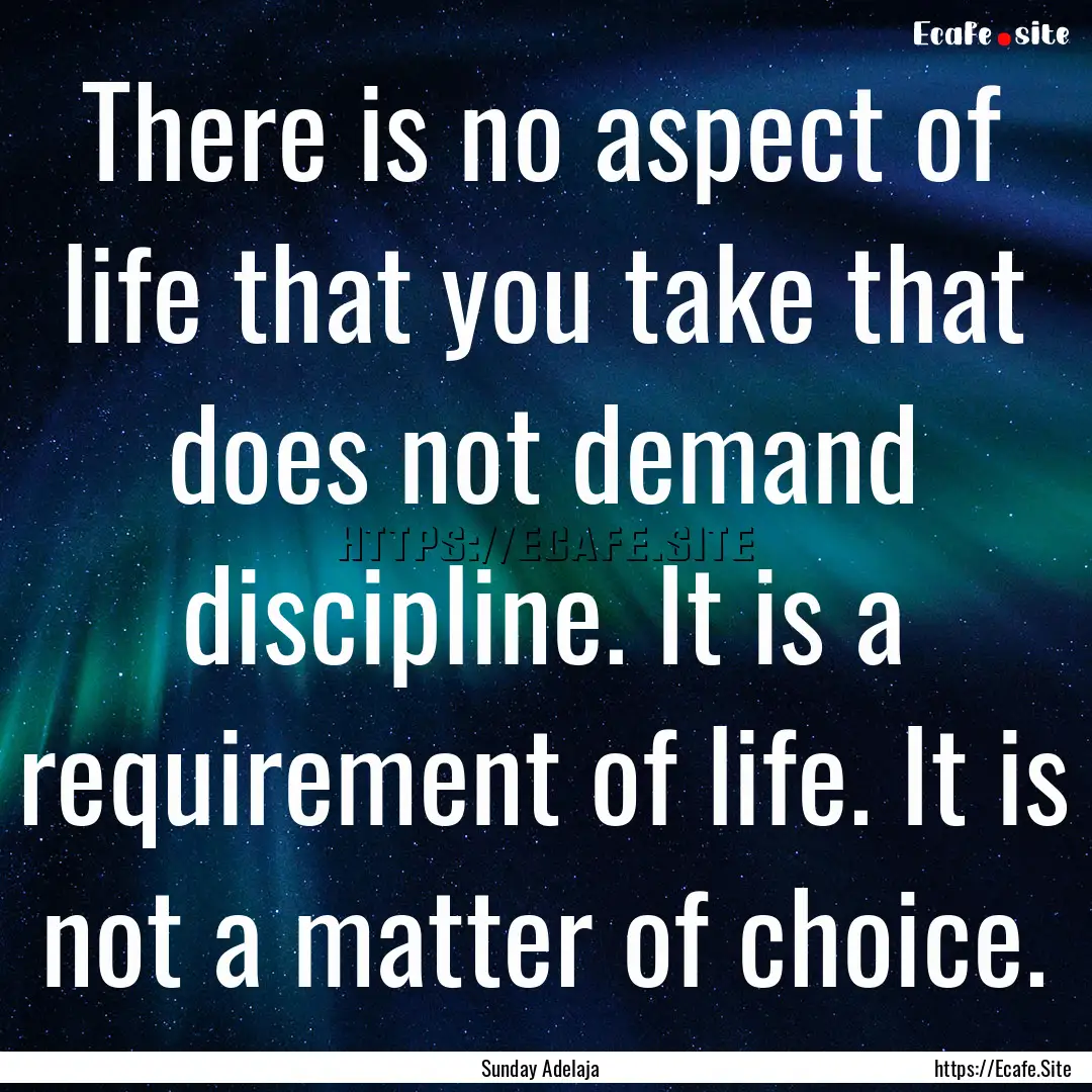 There is no aspect of life that you take.... : Quote by Sunday Adelaja