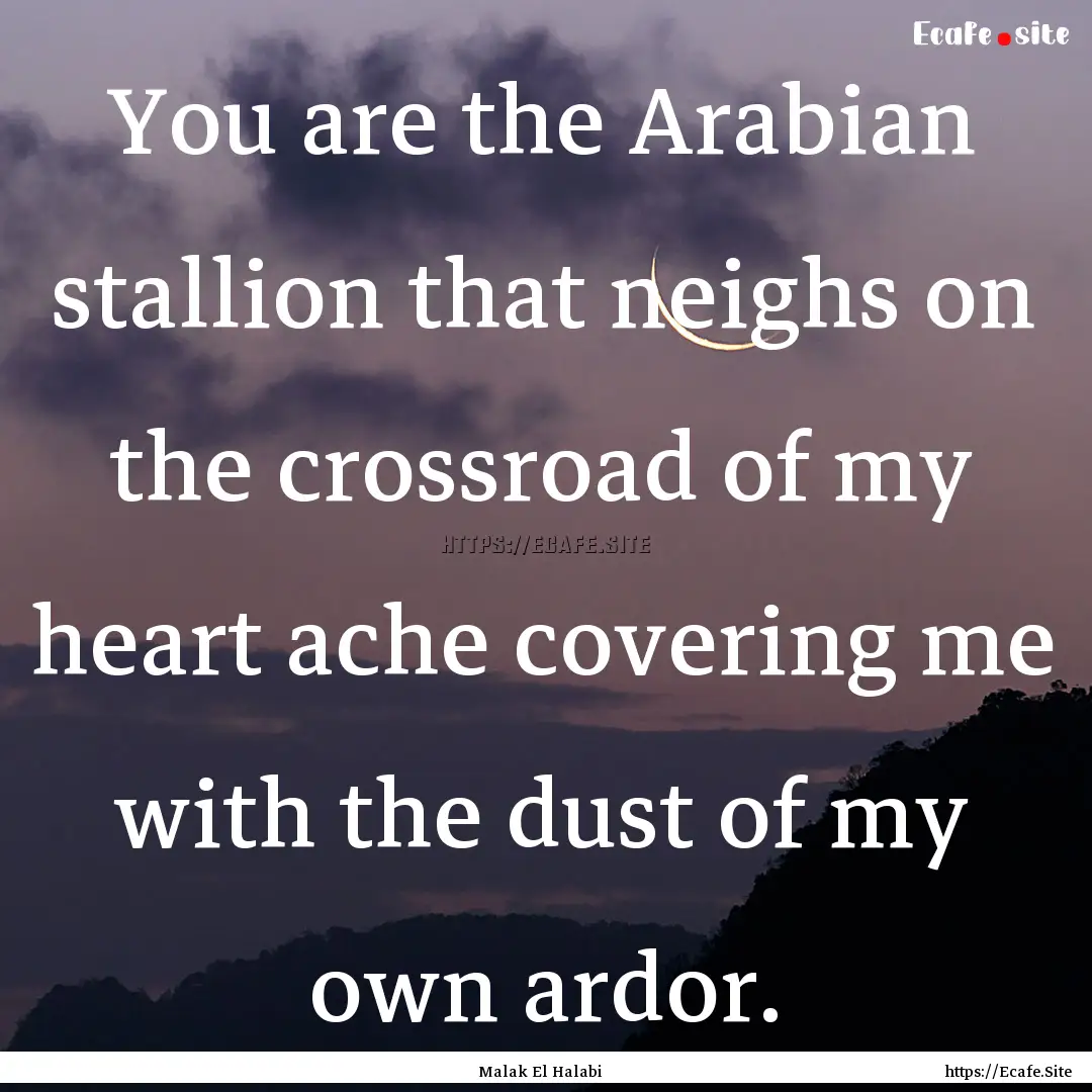 You are the Arabian stallion that neighs.... : Quote by Malak El Halabi