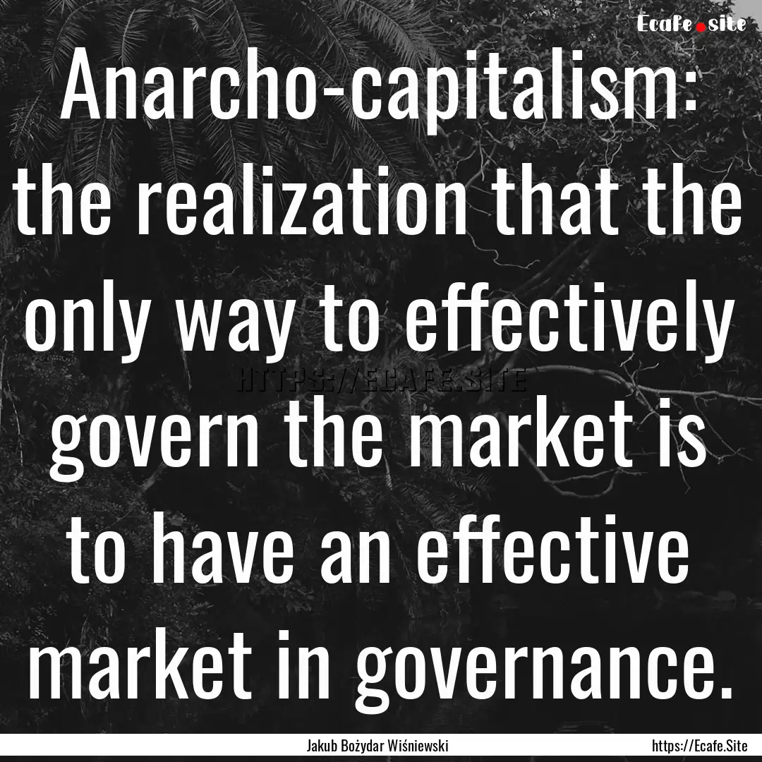 Anarcho-capitalism: the realization that.... : Quote by Jakub Bożydar Wiśniewski