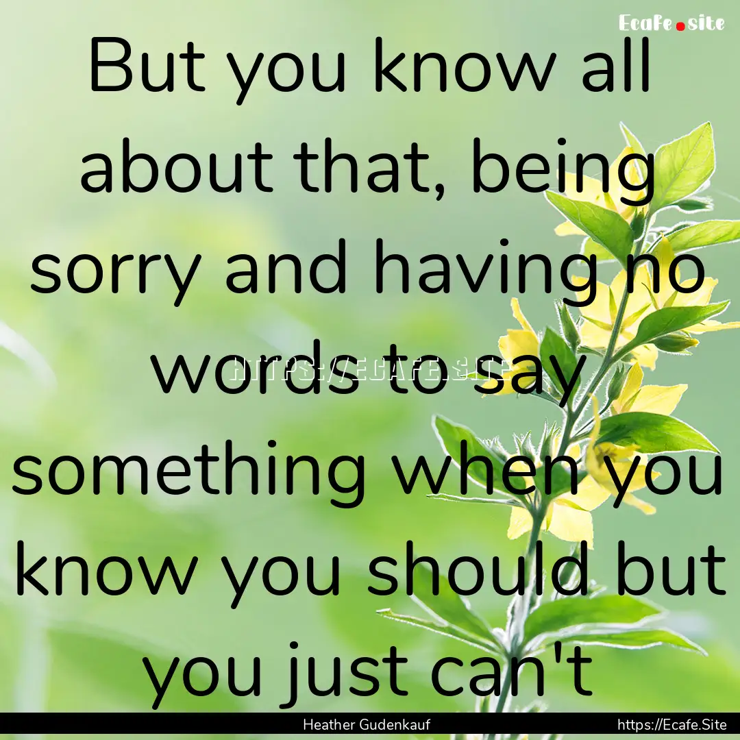 But you know all about that, being sorry.... : Quote by Heather Gudenkauf