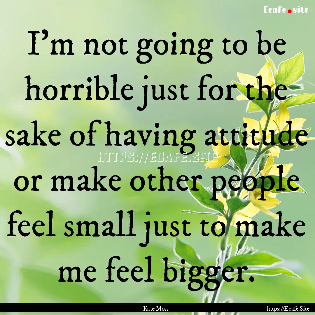 I'm not going to be horrible just for the.... : Quote by Kate Moss