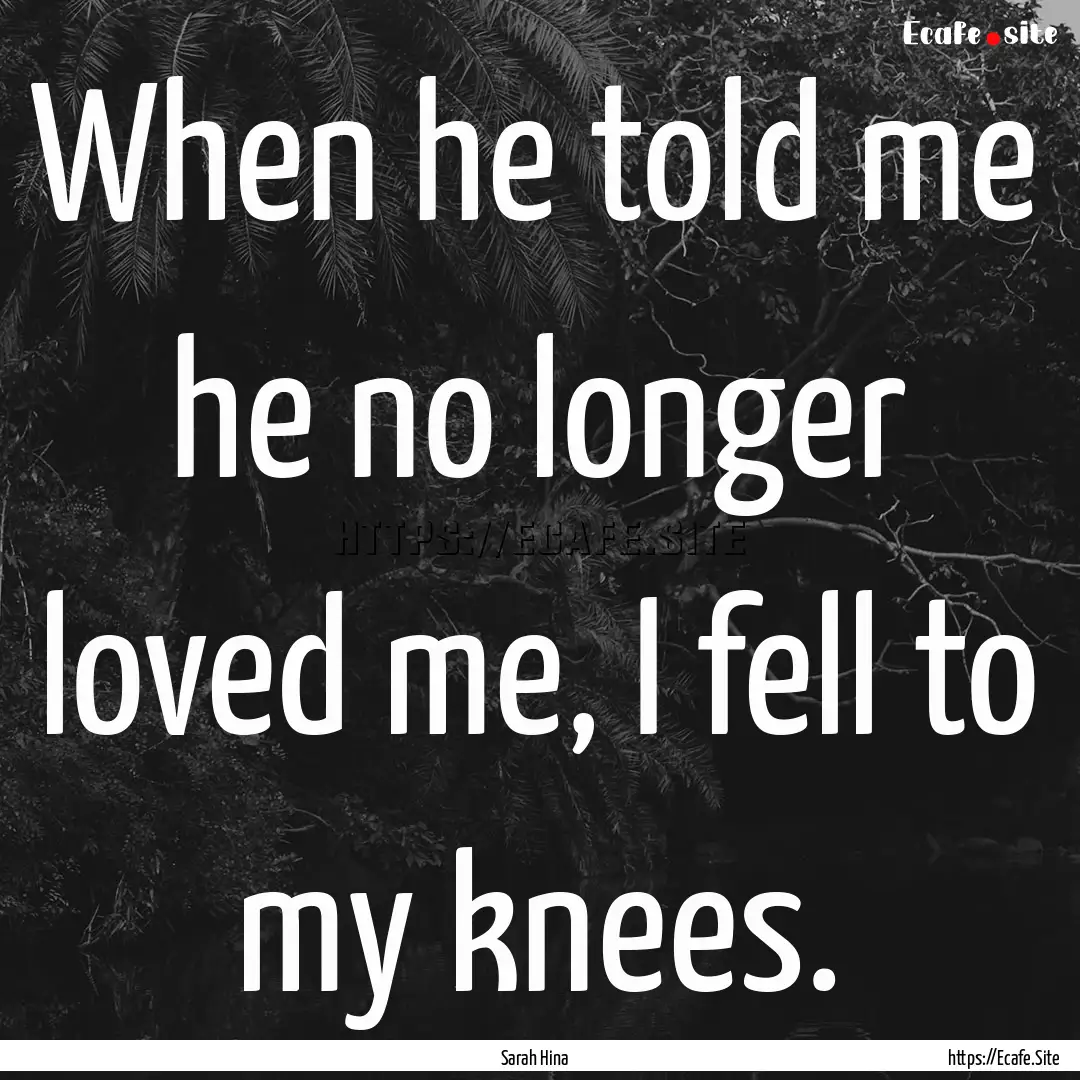 When he told me he no longer loved me, I.... : Quote by Sarah Hina