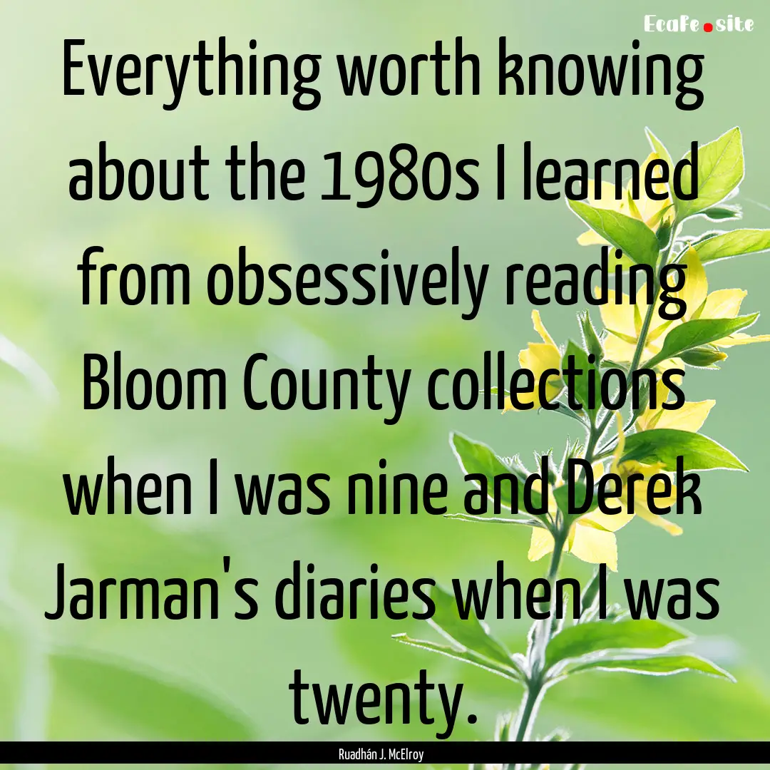 Everything worth knowing about the 1980s.... : Quote by Ruadhán J. McElroy