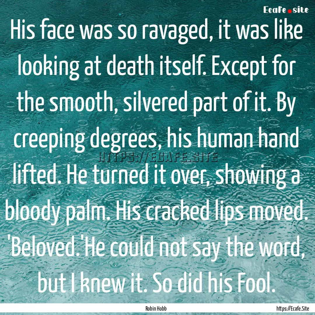 His face was so ravaged, it was like looking.... : Quote by Robin Hobb