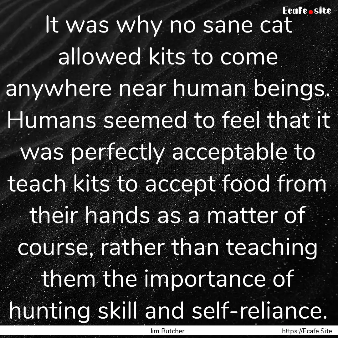 It was why no sane cat allowed kits to come.... : Quote by Jim Butcher