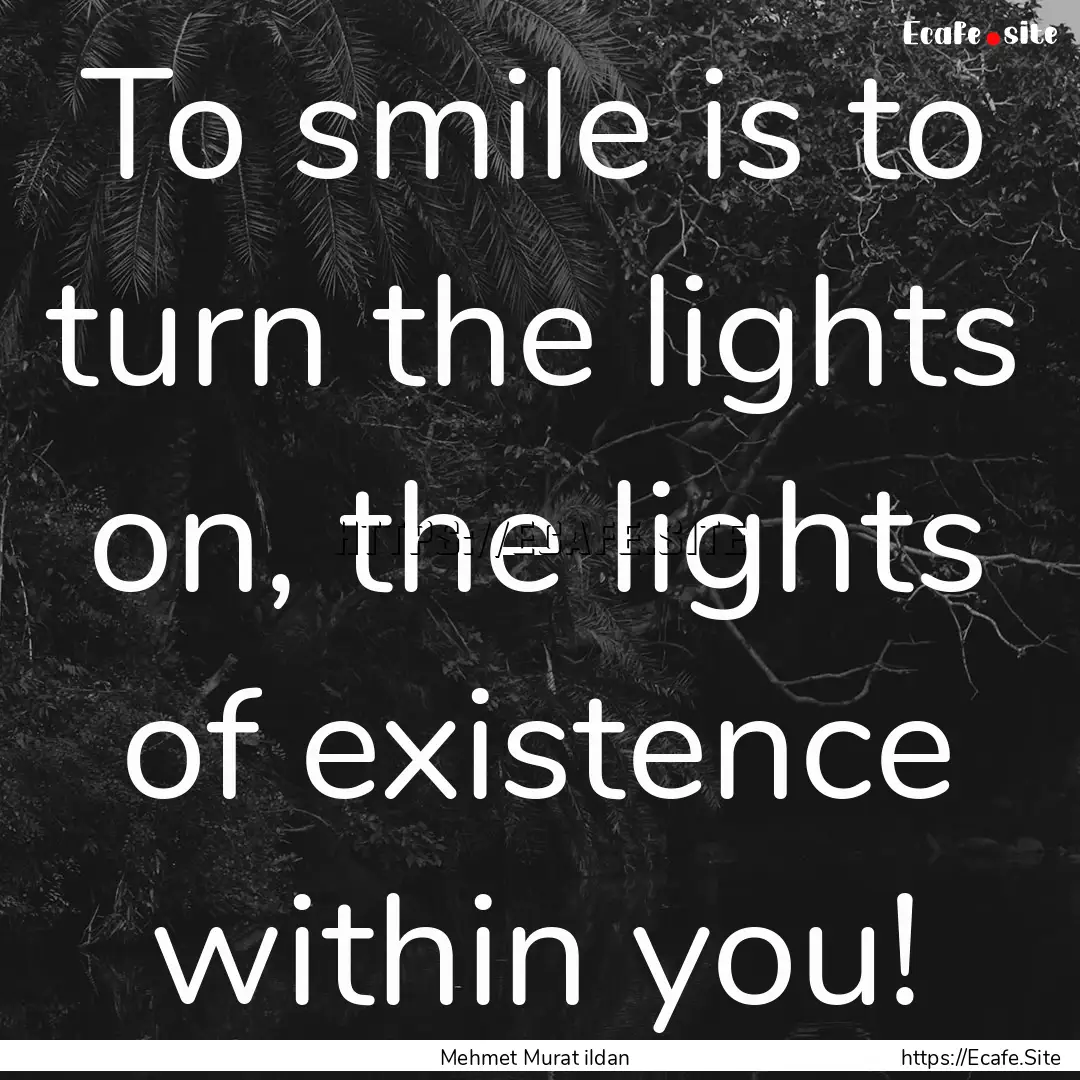 To smile is to turn the lights on, the lights.... : Quote by Mehmet Murat ildan