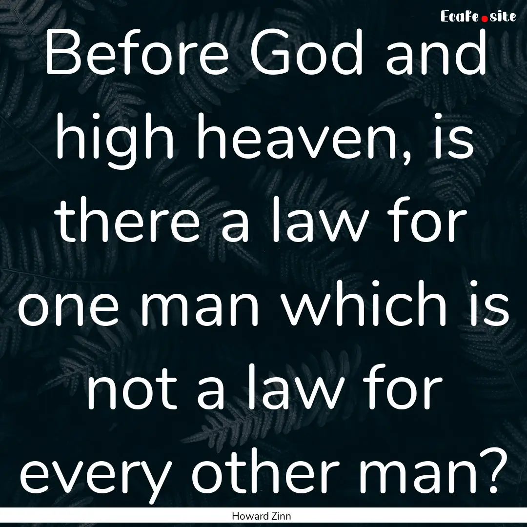 Before God and high heaven, is there a law.... : Quote by Howard Zinn