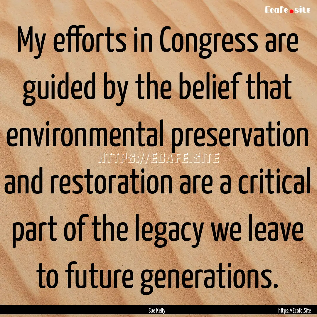 My efforts in Congress are guided by the.... : Quote by Sue Kelly