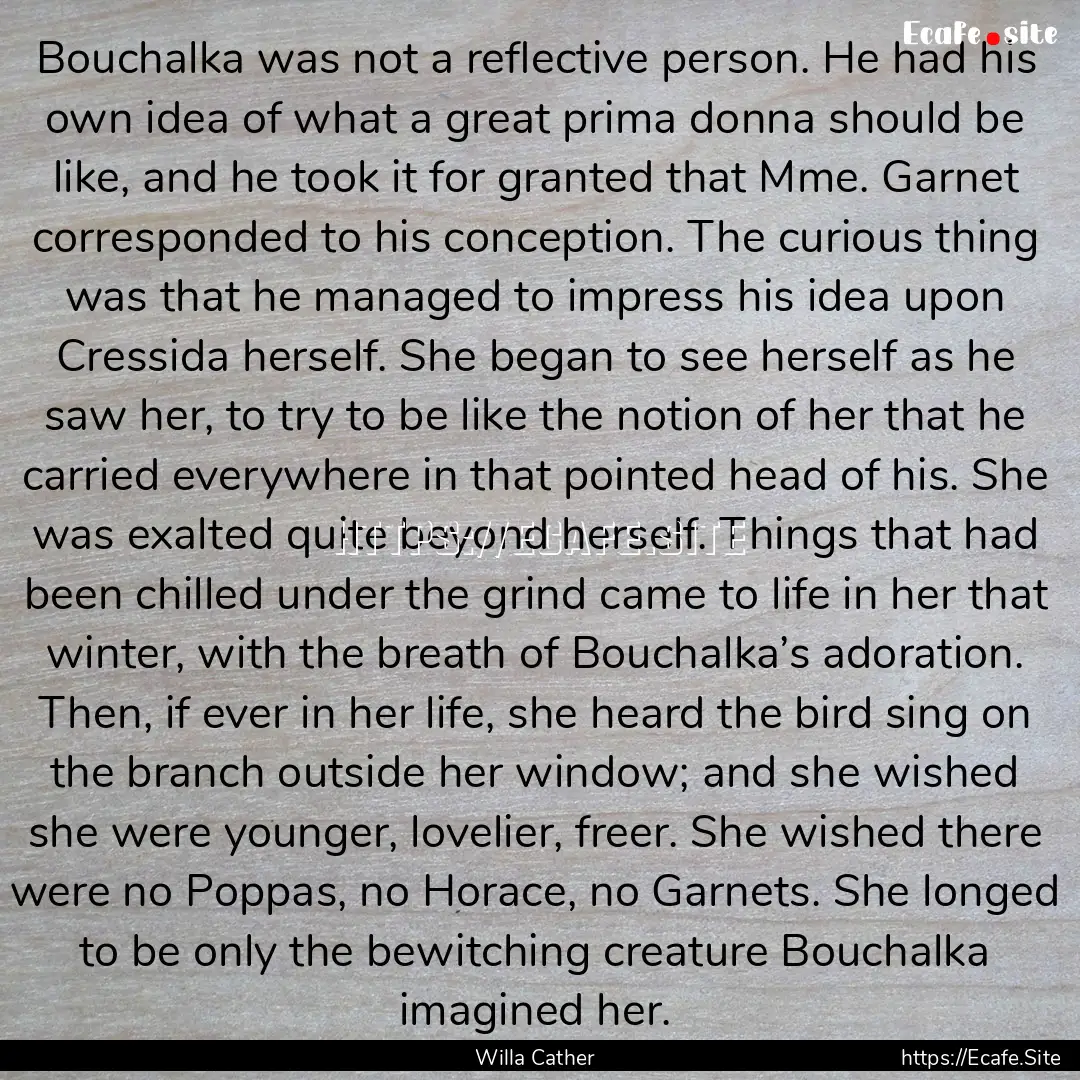 Bouchalka was not a reflective person. He.... : Quote by Willa Cather