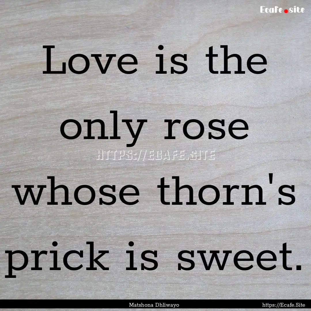 Love is the only rose whose thorn's prick.... : Quote by Matshona Dhliwayo