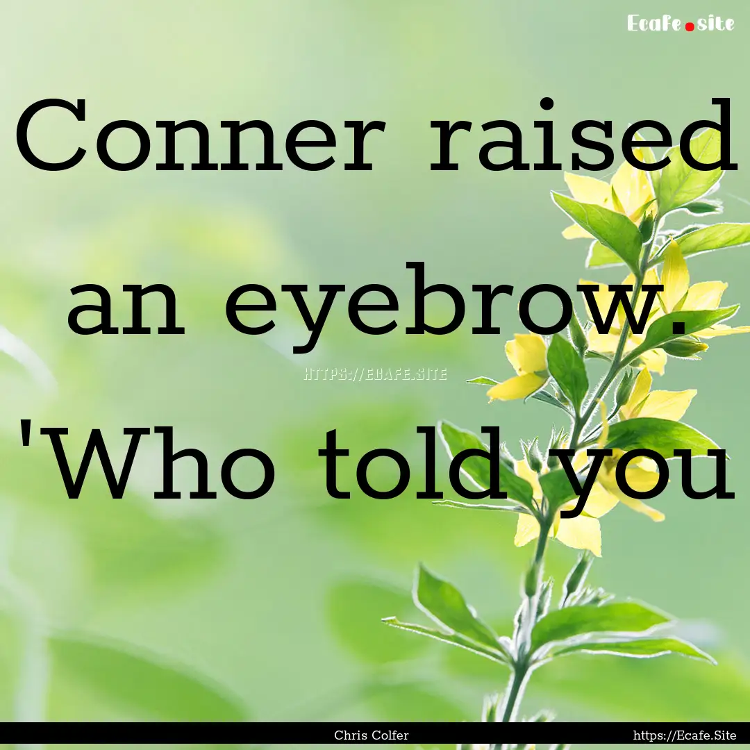 Conner raised an eyebrow. 'Who told you : Quote by Chris Colfer