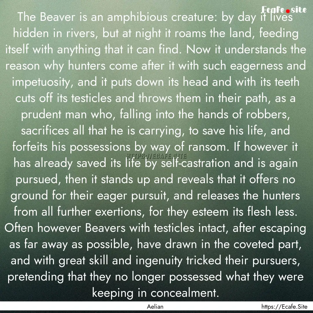 The Beaver is an amphibious creature: by.... : Quote by Aelian