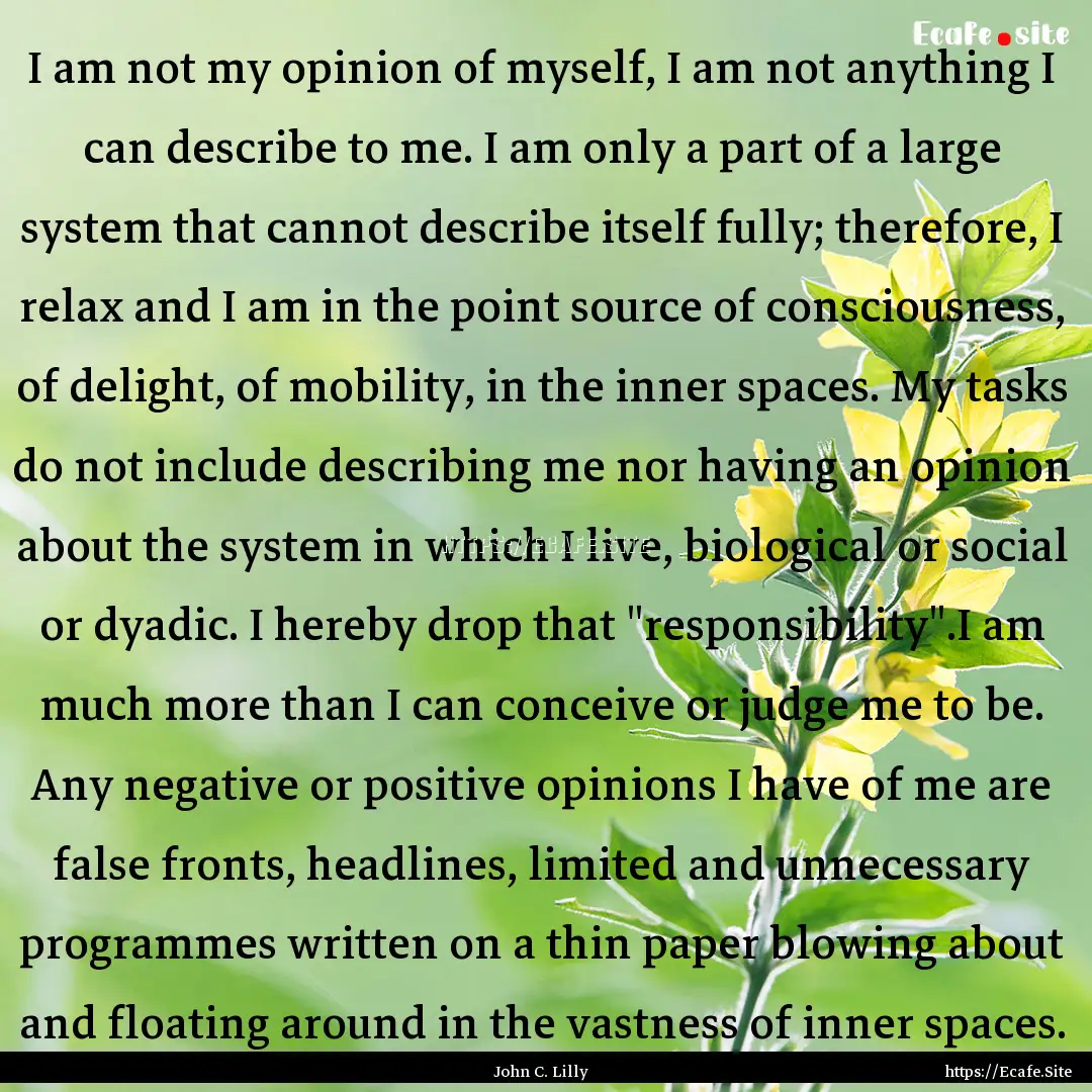 I am not my opinion of myself, I am not anything.... : Quote by John C. Lilly