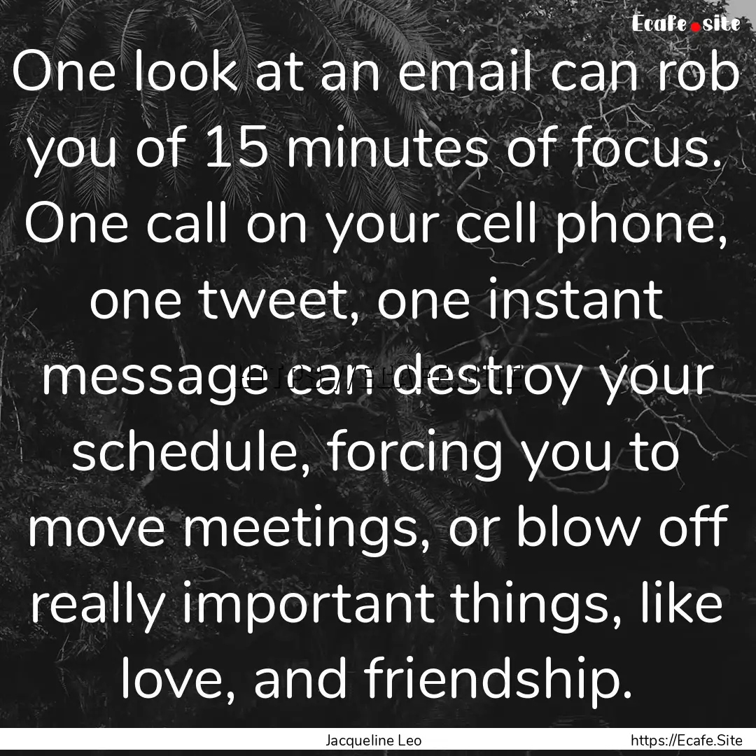 One look at an email can rob you of 15 minutes.... : Quote by Jacqueline Leo