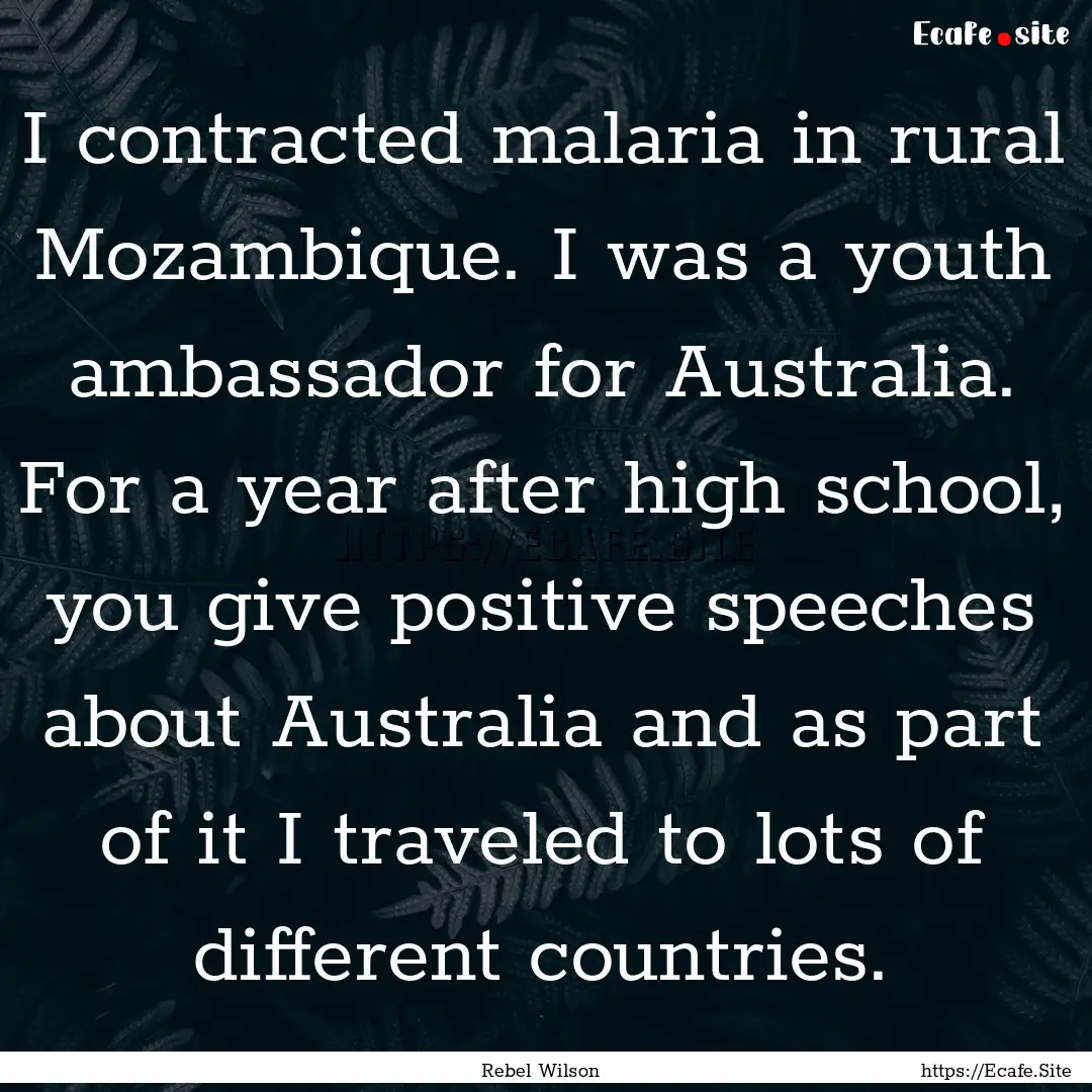 I contracted malaria in rural Mozambique..... : Quote by Rebel Wilson