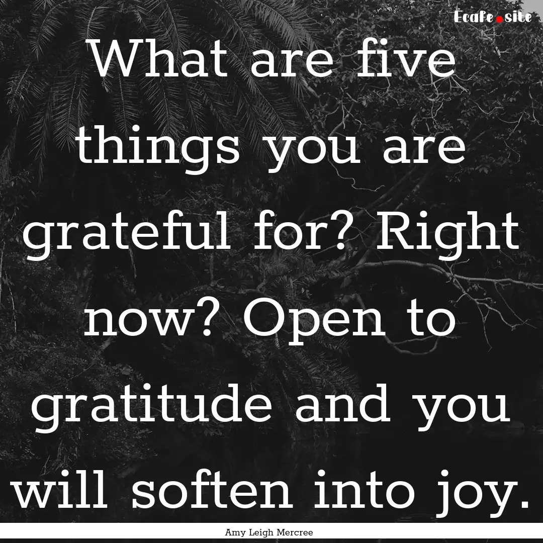 What are five things you are grateful for?.... : Quote by Amy Leigh Mercree