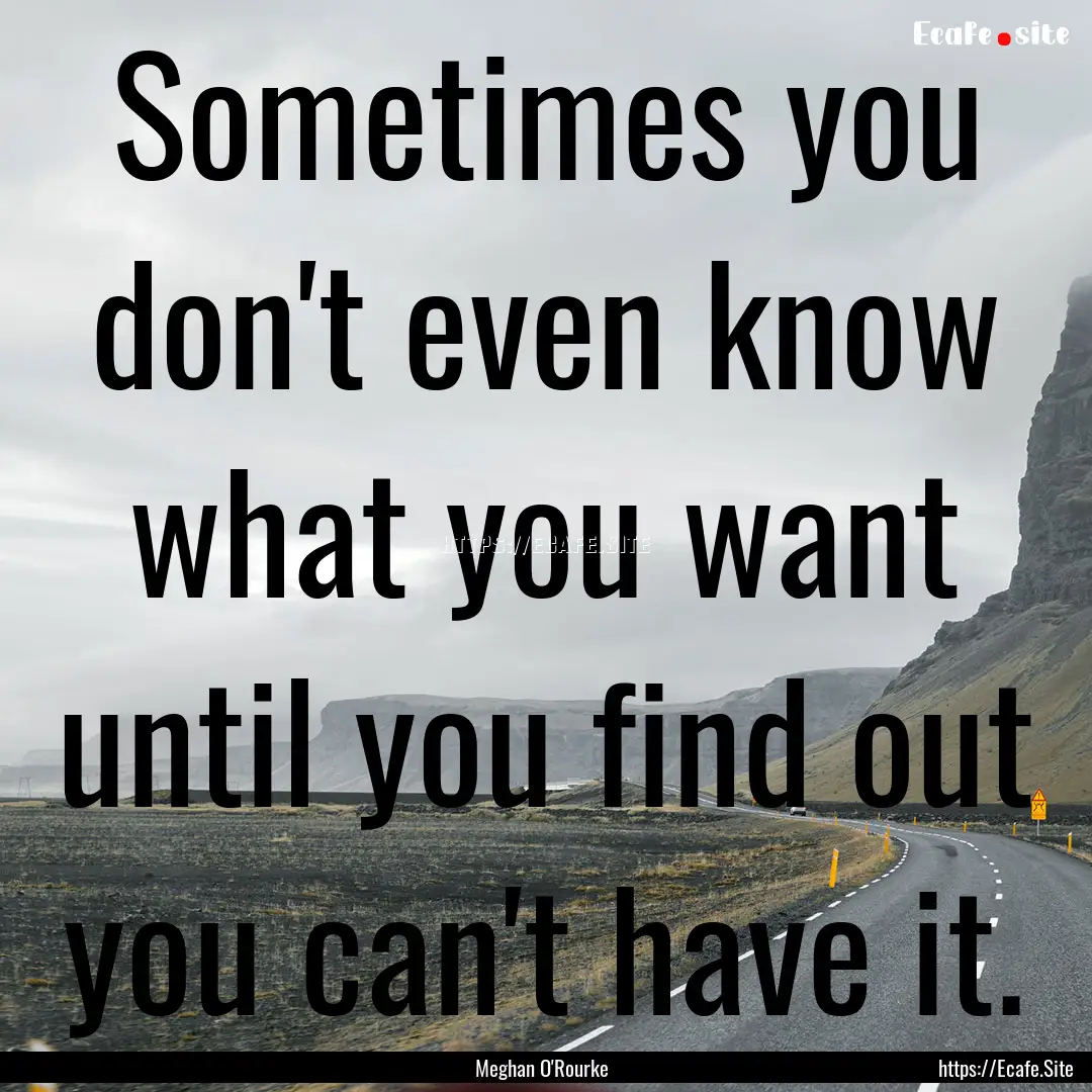 Sometimes you don't even know what you want.... : Quote by Meghan O'Rourke