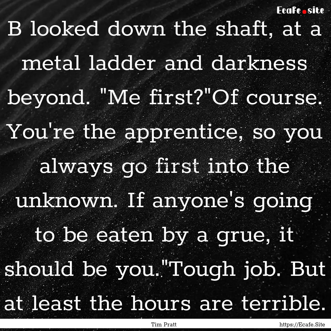 B looked down the shaft, at a metal ladder.... : Quote by Tim Pratt