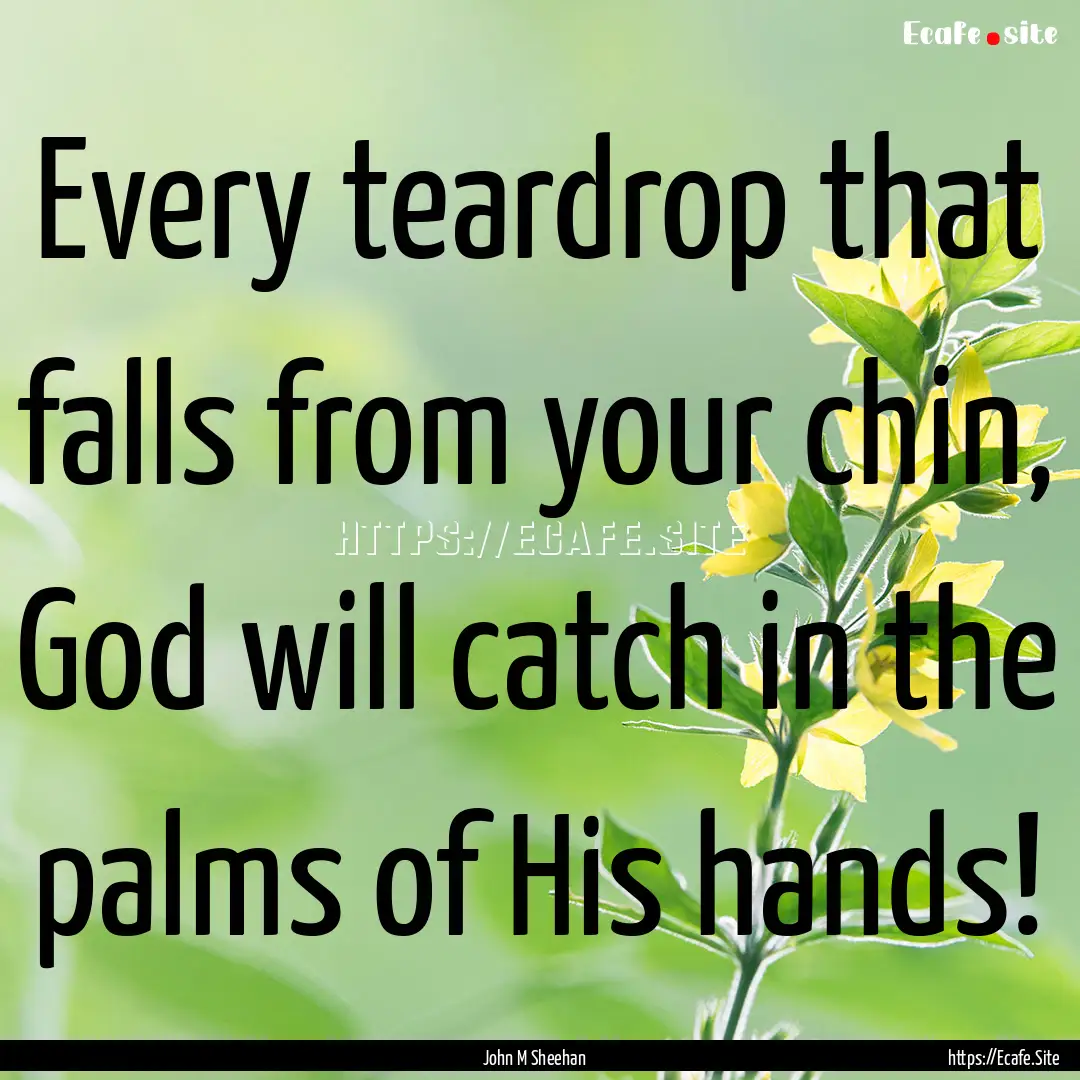 Every teardrop that falls from your chin,.... : Quote by John M Sheehan