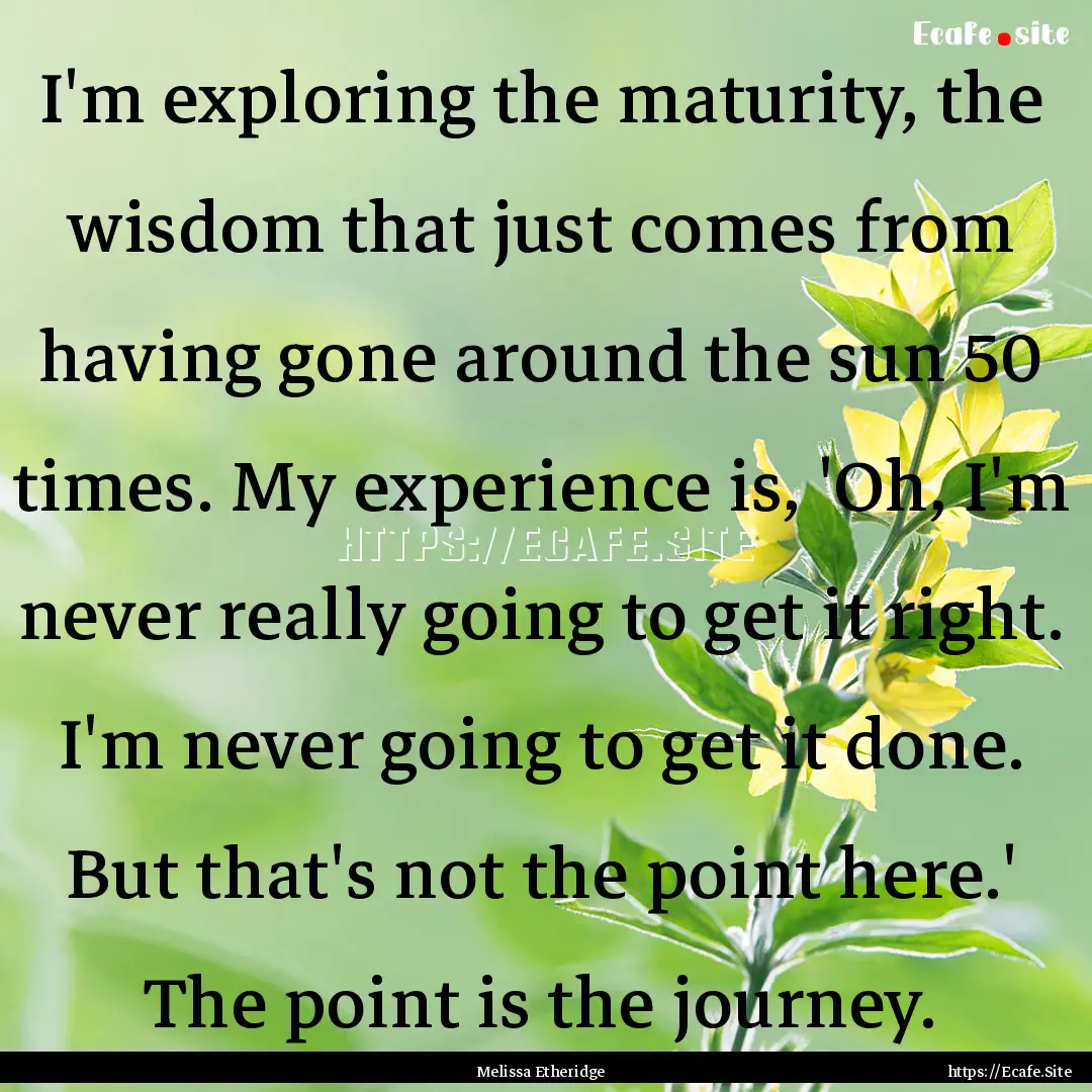 I'm exploring the maturity, the wisdom that.... : Quote by Melissa Etheridge