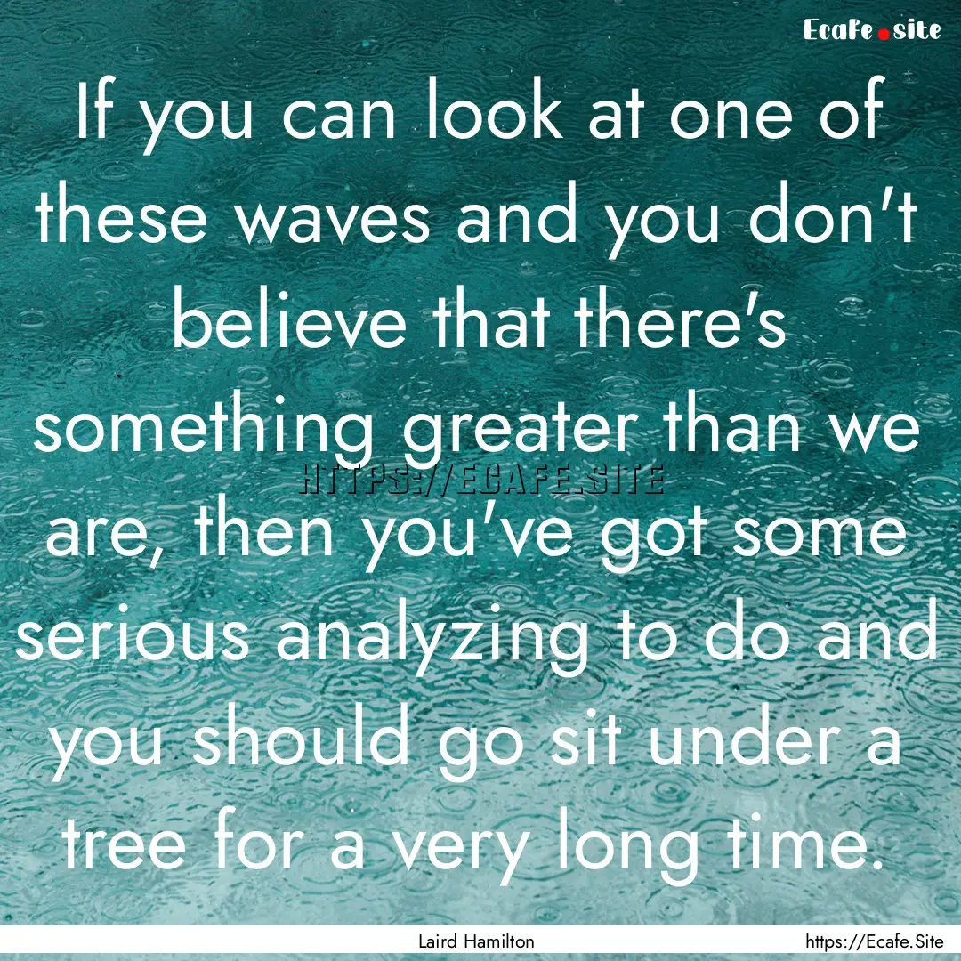 If you can look at one of these waves and.... : Quote by Laird Hamilton