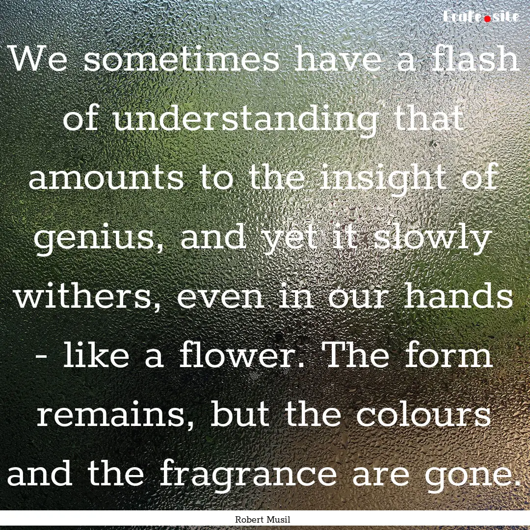 We sometimes have a flash of understanding.... : Quote by Robert Musil