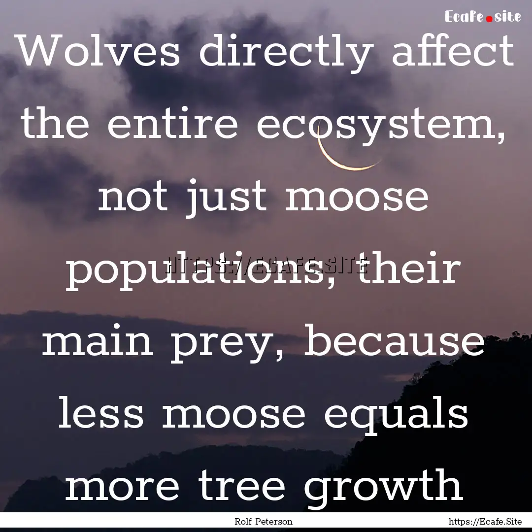 Wolves directly affect the entire ecosystem,.... : Quote by Rolf Peterson