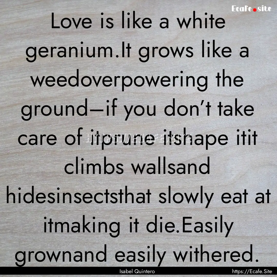 Love is like a white geranium.It grows like.... : Quote by Isabel Quintero