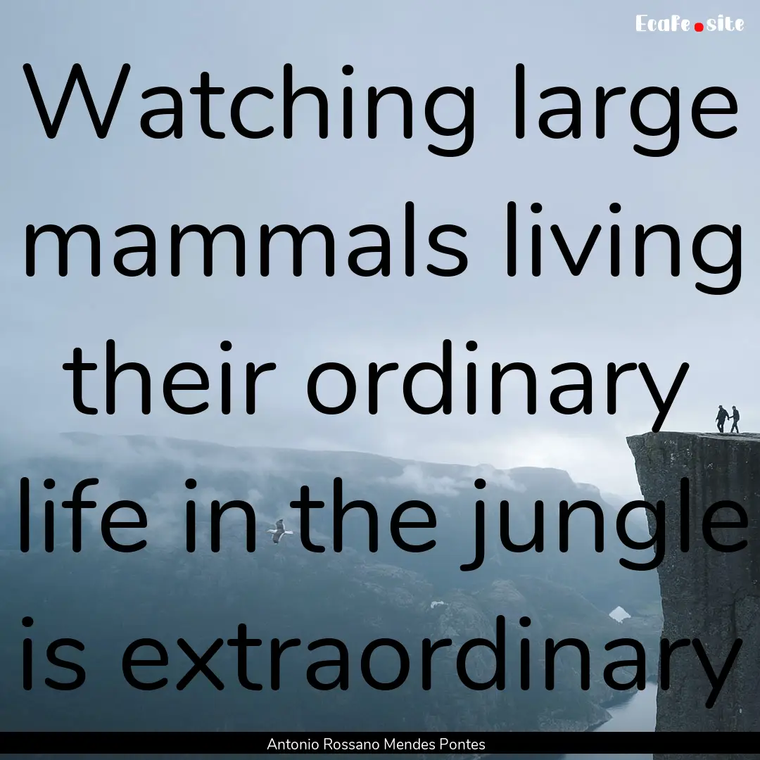 Watching large mammals living their ordinary.... : Quote by Antonio Rossano Mendes Pontes